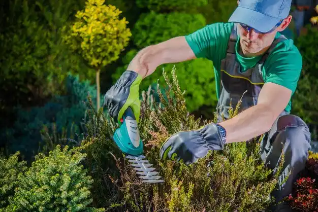 landscaping services Saugerties South